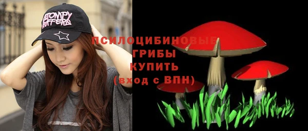 дурь Киреевск