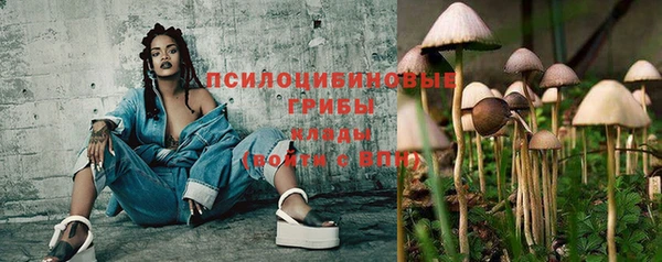 мяу мяу кристалл Вяземский